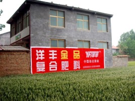  青田如何让墙体广告展现最大化效果
