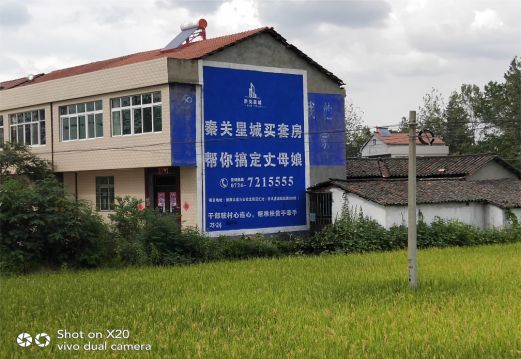  青田决定墙体广告价格的因素有哪些？