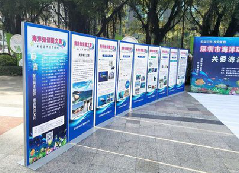  青田KT板的种类和知识。